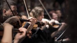 orchestr housle